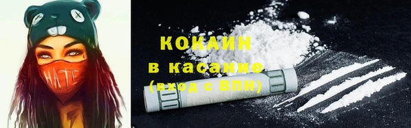 крисы Алзамай