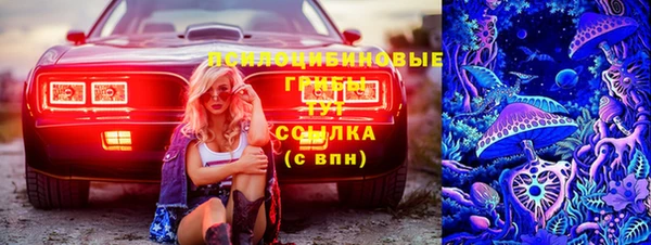 метадон Алексин