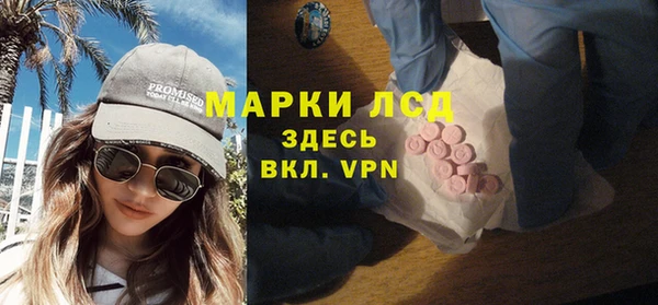 прущие грибы Алексеевка