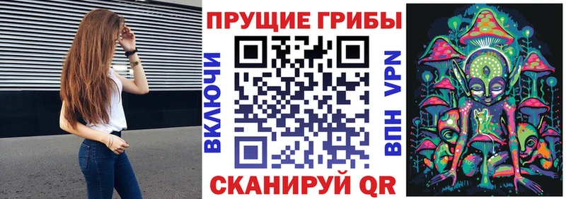 сайты даркнета наркотические препараты  закладка  Сосновый Бор  Псилоцибиновые грибы прущие грибы 